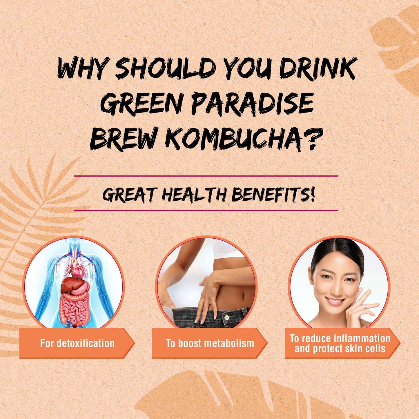 Brew Kombucha Passion Fruit | Alishan High Mountain Green Tea (5g x10s)